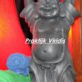 VIRIDIS praktijk