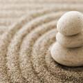 6 daagse opleiding Klassieke Massage met Anatomie