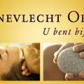 12 juni OPEN DAG Zonnevlecht Opleidingen