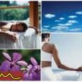 Beauty & Wellness Massage Purmerend